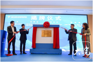 �����׸�˽ļ��Ȩ Ͷ��רҵЧ��վ����