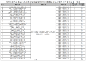 2022年肥西县推动经济高质量生长若干政策第15条大数据企业认定奖补团结会审效果公示